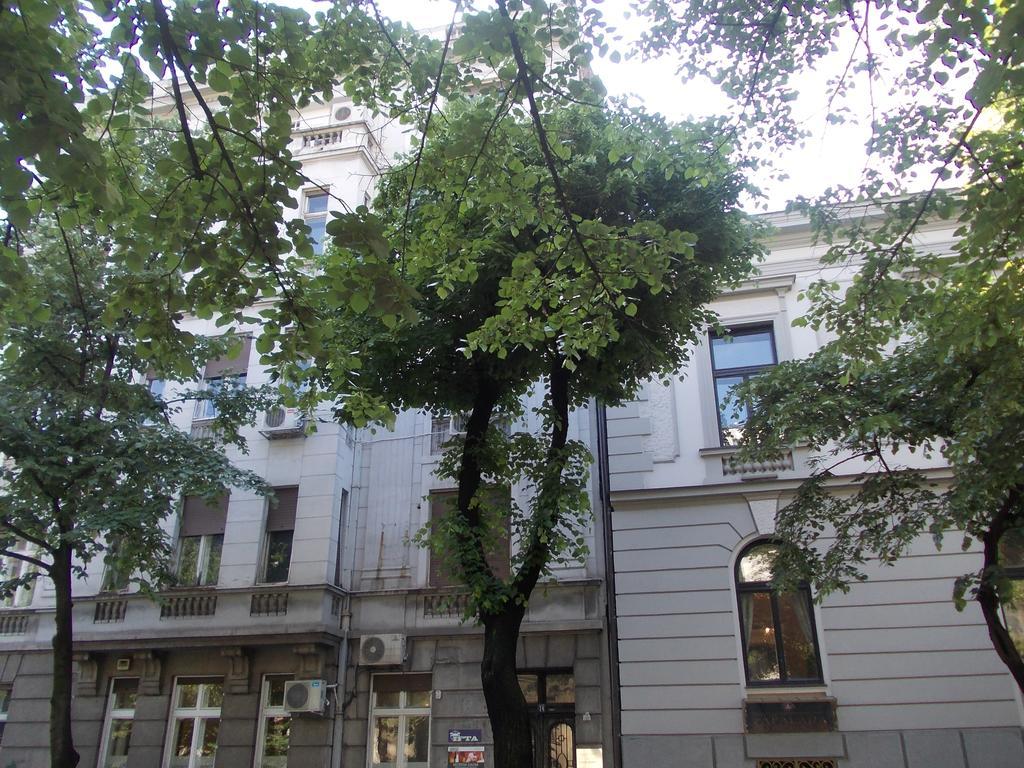 Bukoleon Apartment Beograd Bagian luar foto